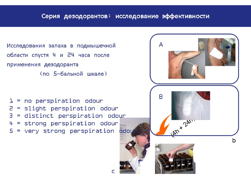 1 = no perspiration odour 2 = slight perspiration odour 3 = distinct perspiration